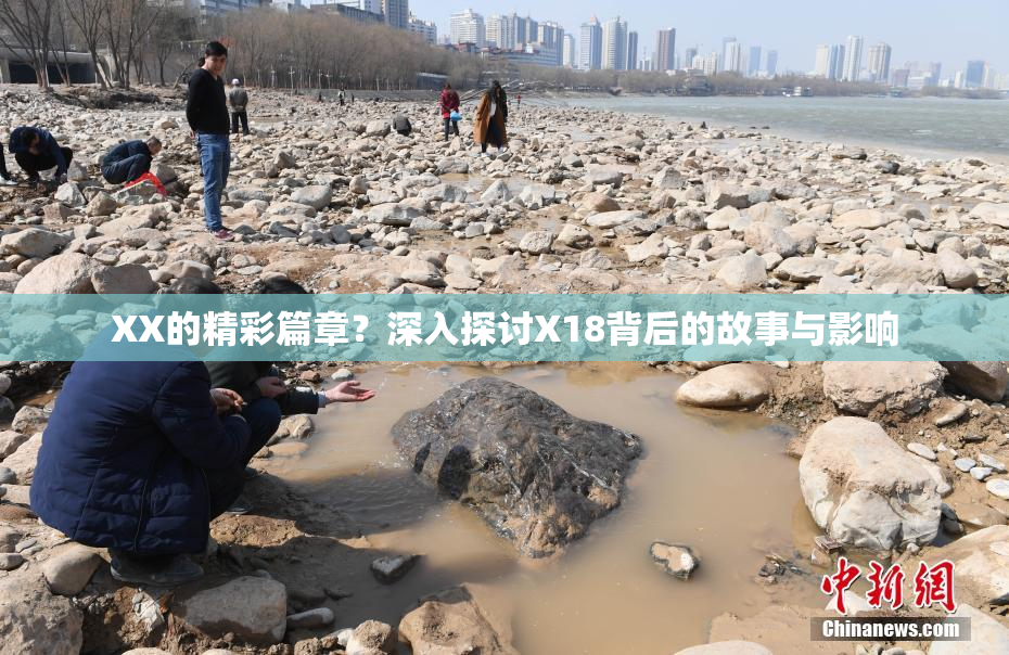 XX的精彩篇章？深入探讨X18背后的故事与影响