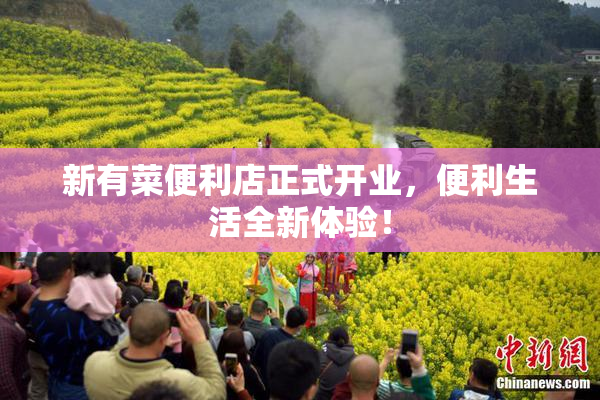 新有菜便利店正式开业，便利生活全新体验！
