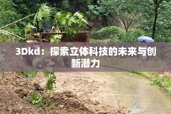 3Dkd：探索立体科技的未来与创新潜力