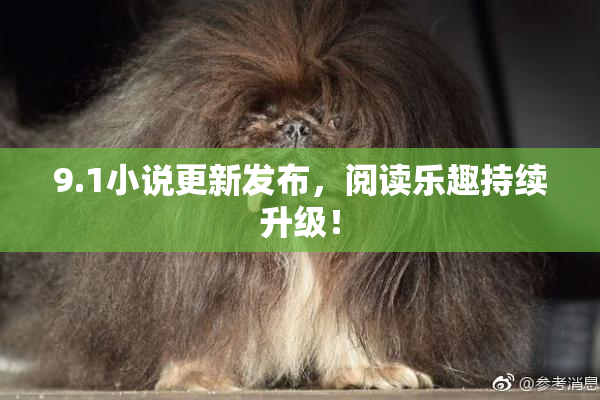 9.1小说更新发布，阅读乐趣持续升级！