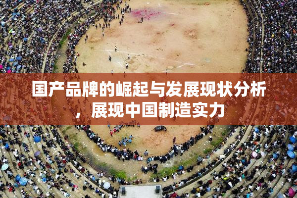 国产品牌的崛起与发展现状分析，展现中国制造实力
