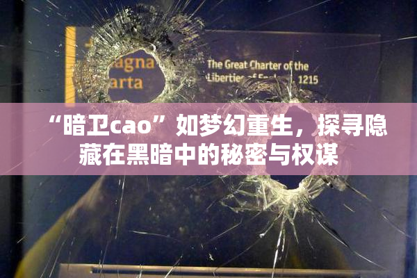 “暗卫cao”如梦幻重生，探寻隐藏在黑暗中的秘密与权谋