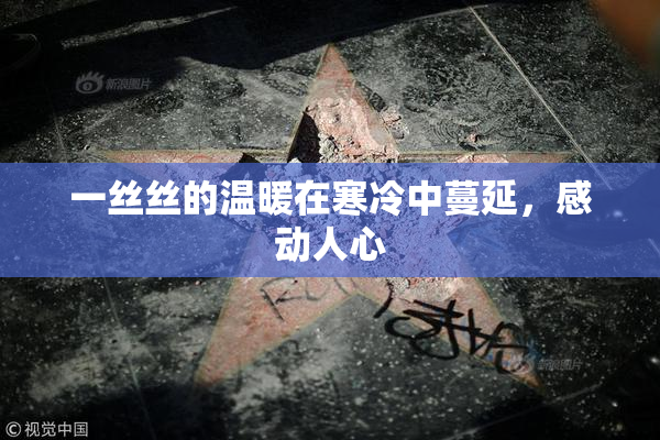 一丝丝的温暖在寒冷中蔓延，感动人心