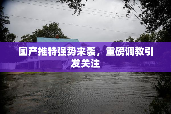 国产推特强势来袭，重磅调教引发关注