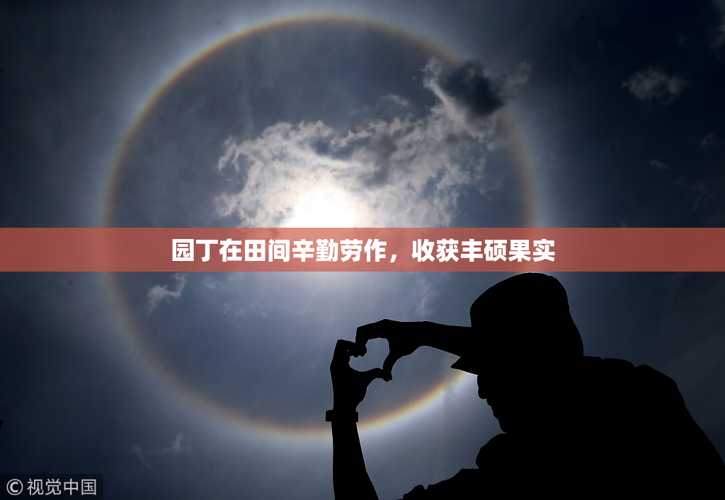 园丁在田间辛勤劳作，收获丰硕果实