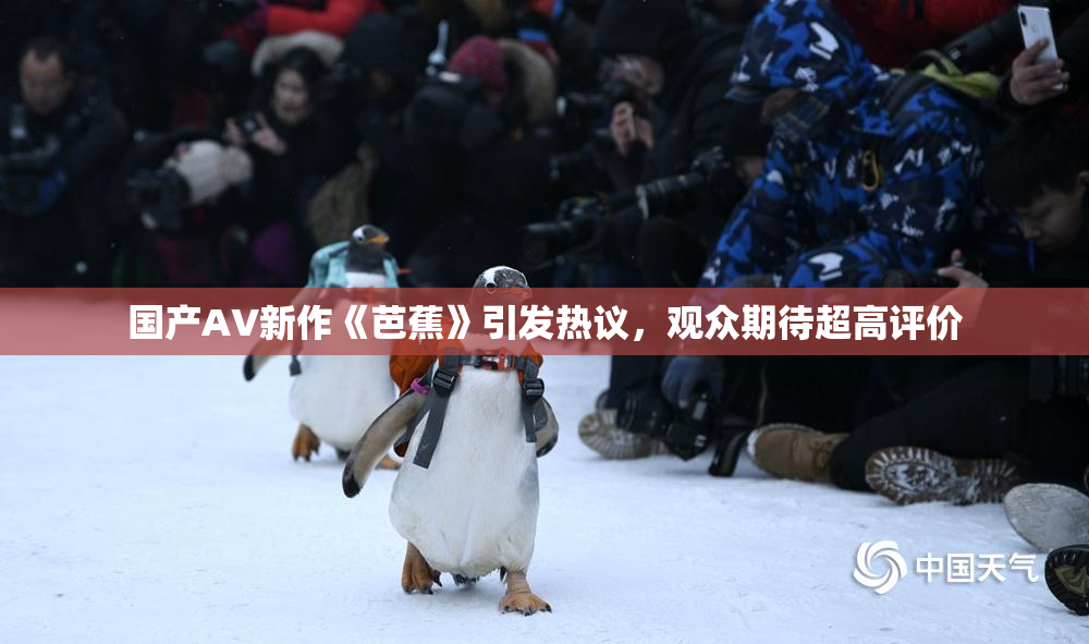 国产AV新作《芭蕉》引发热议，观众期待超高评价