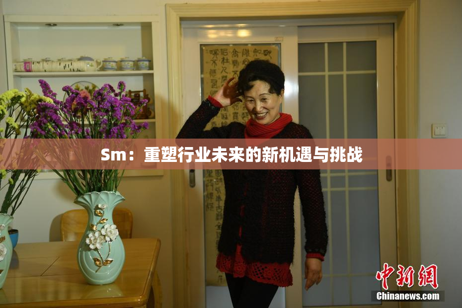 Sm：重塑行业未来的新机遇与挑战