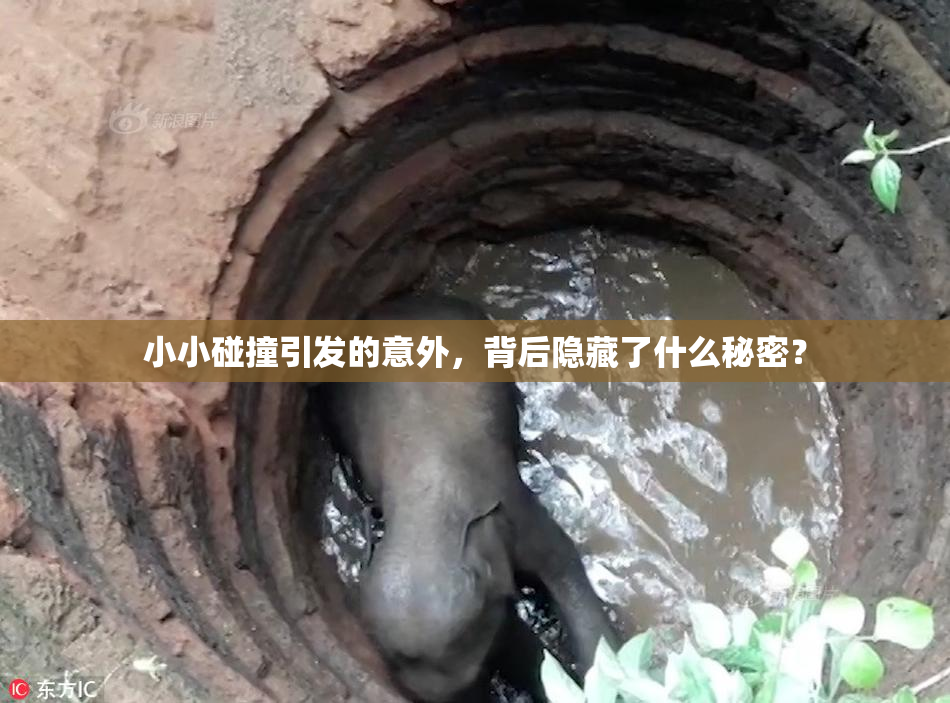 小小碰撞引发的意外，背后隐藏了什么秘密？
