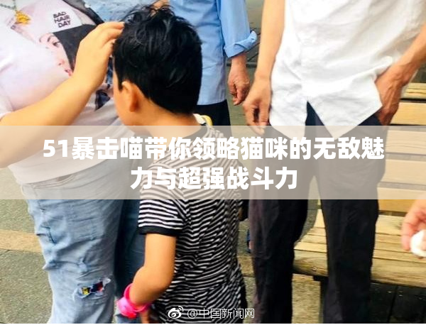 51暴击喵带你领略猫咪的无敌魅力与超强战斗力