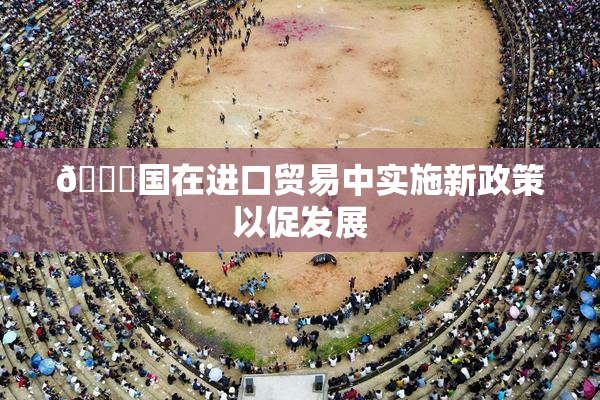🔞国在进口贸易中实施新政策以促发展
