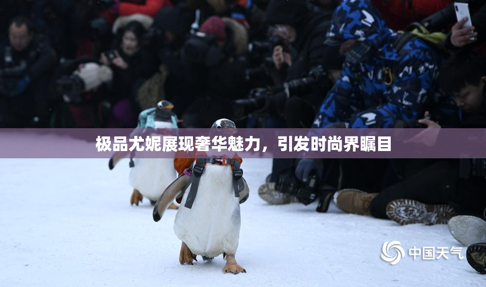 极品尤妮展现奢华魅力，引发时尚界瞩目