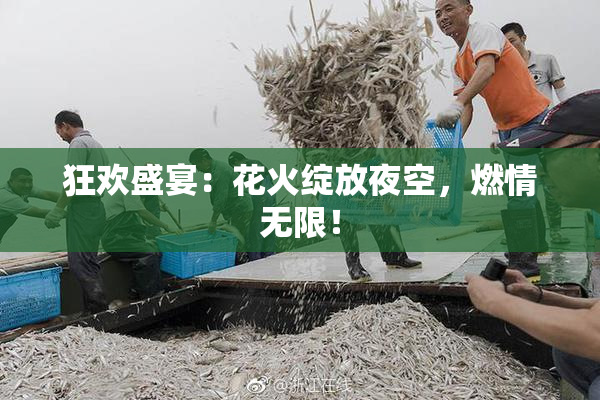 狂欢盛宴：花火绽放夜空，燃情无限！