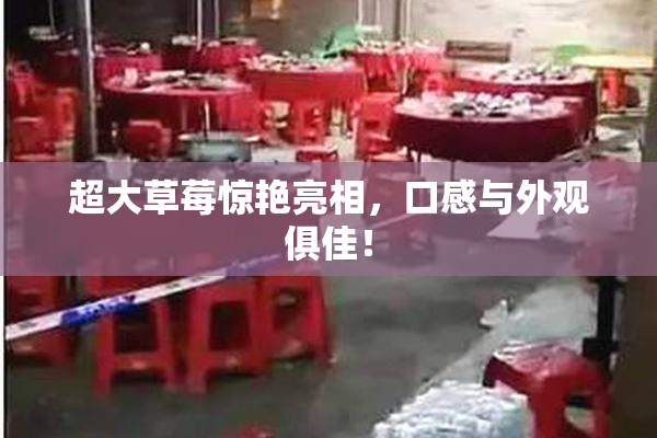 超大草莓惊艳亮相，口感与外观俱佳！