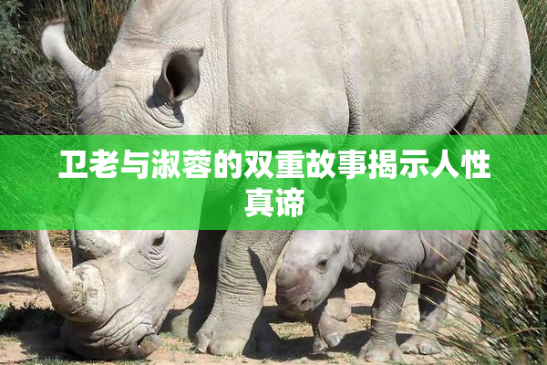卫老与淑蓉的双重故事揭示人性真谛