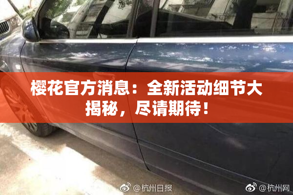 樱花官方消息：全新活动细节大揭秘，尽请期待！