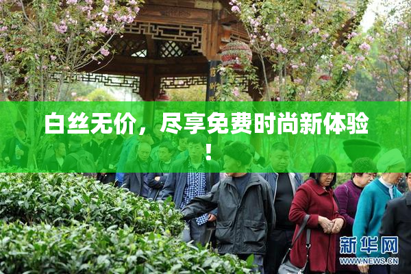 白丝无价，尽享免费时尚新体验！