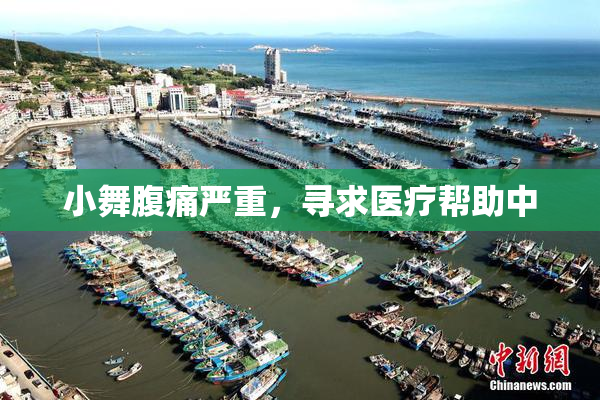小舞腹痛严重，寻求医疗帮助中