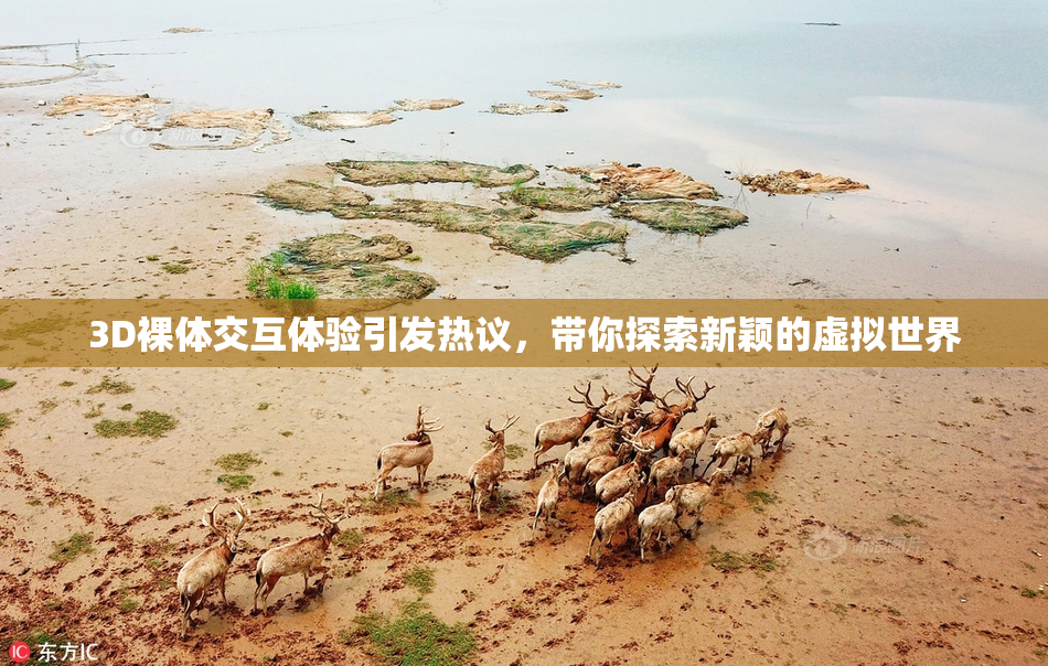 3D裸体交互体验引发热议，带你探索新颖的虚拟世界