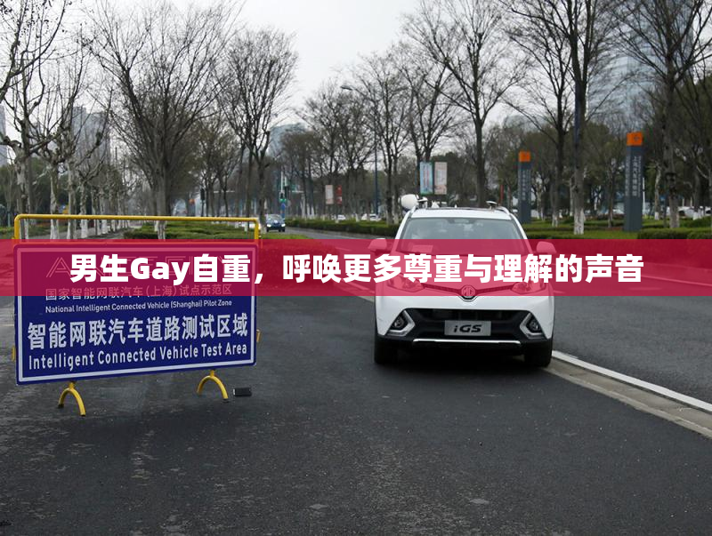 男生Gay自重，呼唤更多尊重与理解的声音