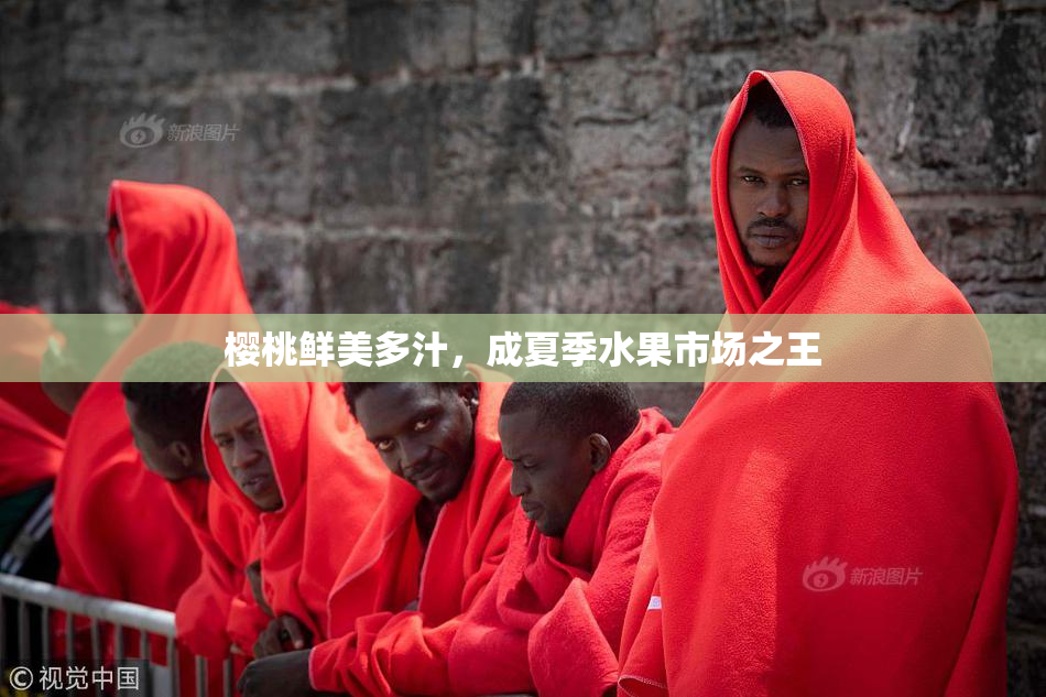 樱桃鲜美多汁，成夏季水果市场之王