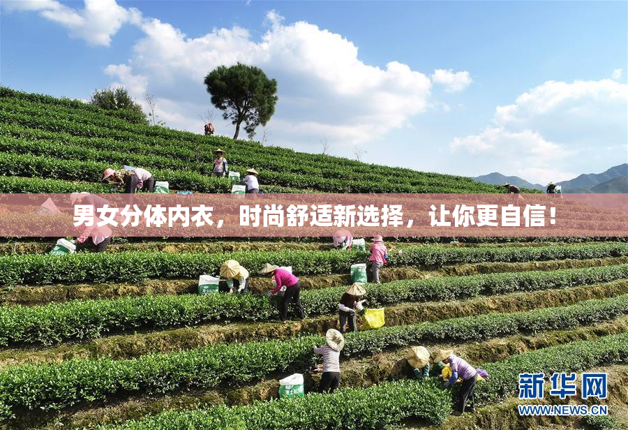 男女分体内衣，时尚舒适新选择，让你更自信！