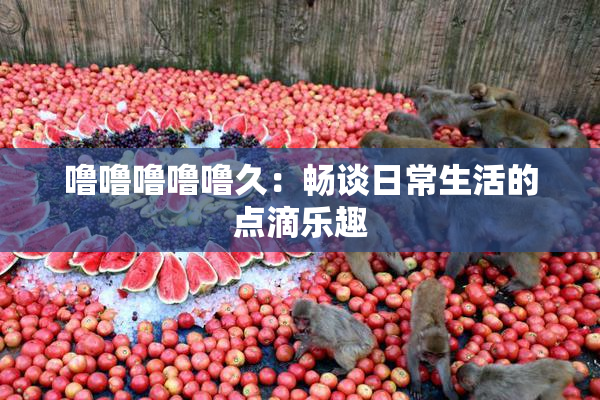 噜噜噜噜噜久：畅谈日常生活的点滴乐趣