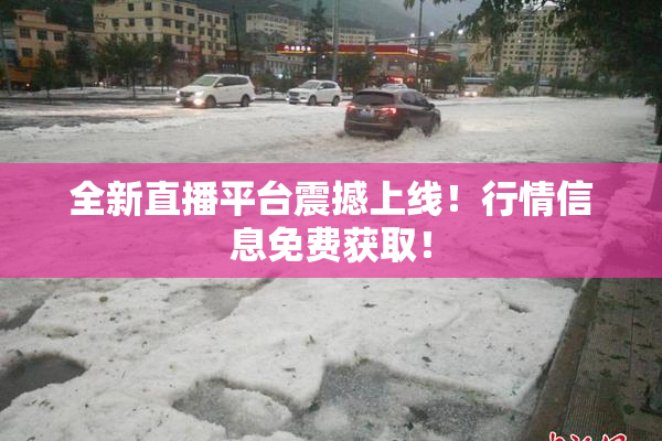 全新直播平台震撼上线！行情信息免费获取！
