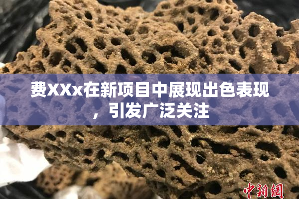 费XXx在新项目中展现出色表现，引发广泛关注