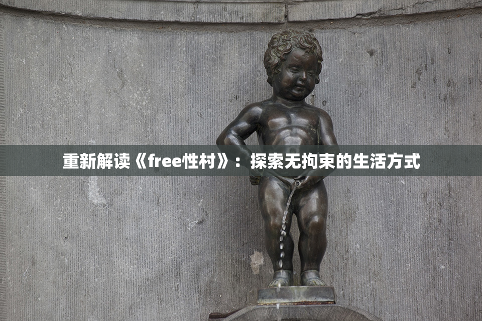 重新解读《free性村》：探索无拘束的生活方式
