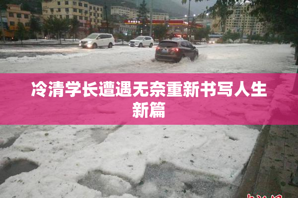冷清学长遭遇无奈重新书写人生新篇