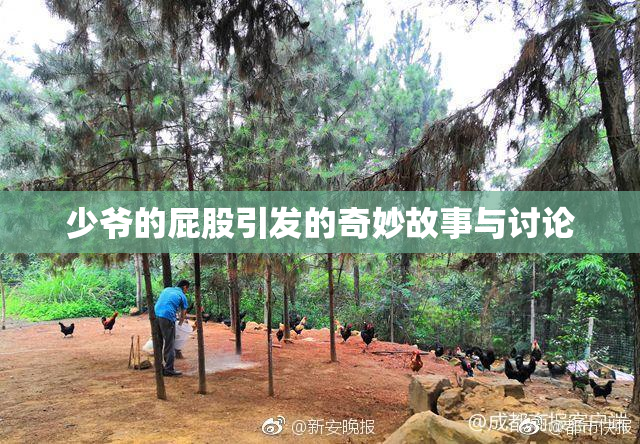 少爷的屁股引发的奇妙故事与讨论