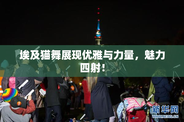 埃及猫舞展现优雅与力量，魅力四射！