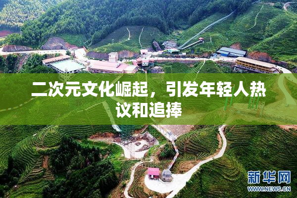 二次元文化崛起，引发年轻人热议和追捧