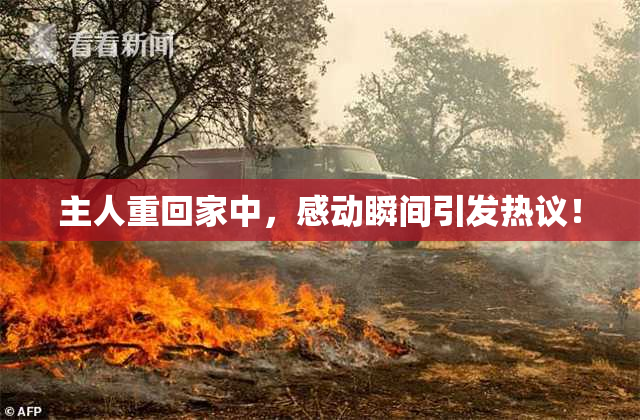 主人重回家中，感动瞬间引发热议！