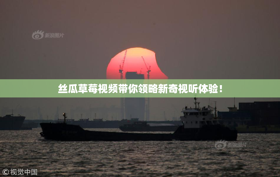 丝瓜草莓视频带你领略新奇视听体验！