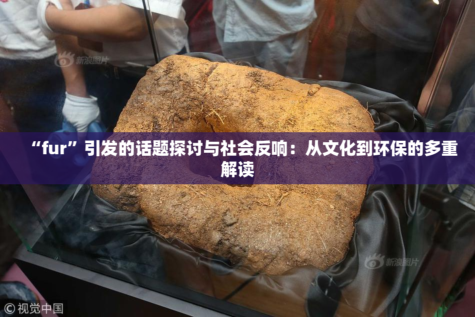 “fur”引发的话题探讨与社会反响：从文化到环保的多重解读