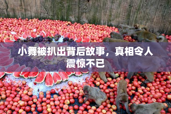 小舞被扒出背后故事，真相令人震惊不已