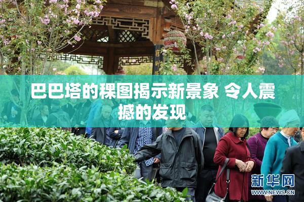 巴巴塔的稞图揭示新景象 令人震撼的发现