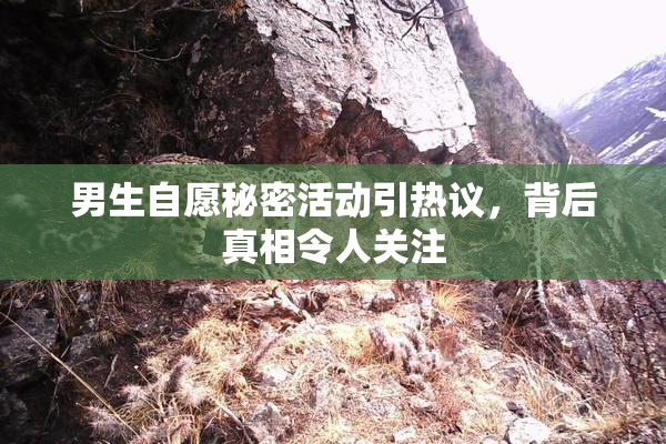 男生自愿秘密活动引热议，背后真相令人关注