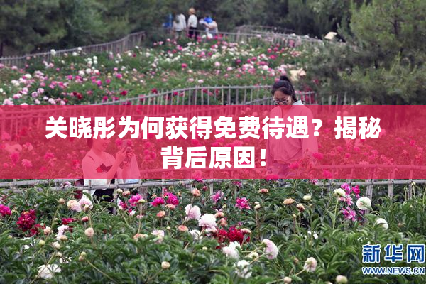 关晓彤为何获得免费待遇？揭秘背后原因！