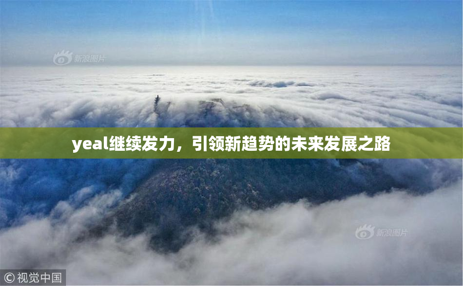 yeal继续发力，引领新趋势的未来发展之路