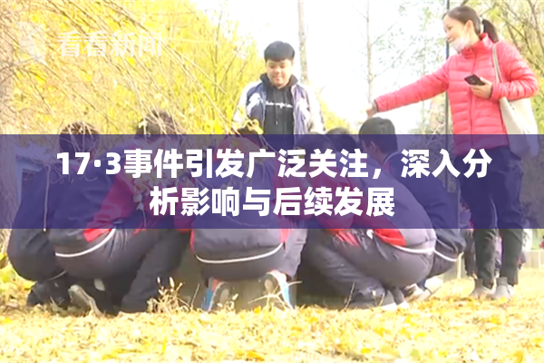 17·3事件引发广泛关注，深入分析影响与后续发展