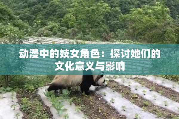 动漫中的妓女角色：探讨她们的文化意义与影响