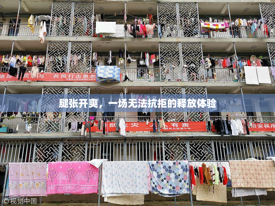 腿张开爽，一场无法抗拒的释放体验