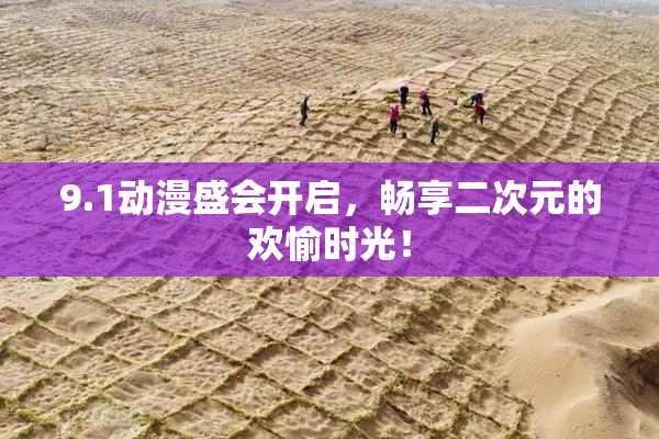 9.1动漫盛会开启，畅享二次元的欢愉时光！