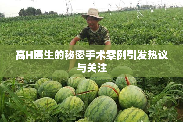 高H医生的秘密手术案例引发热议与关注