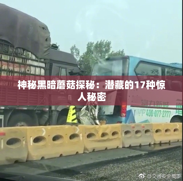 神秘黑暗蘑菇探秘：潜藏的17种惊人秘密