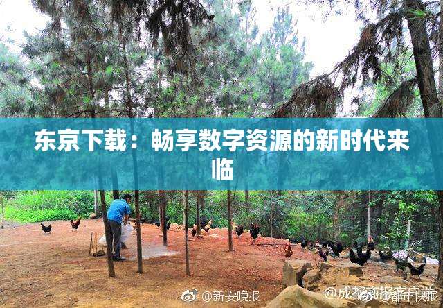 东京下载：畅享数字资源的新时代来临