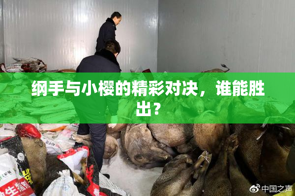 纲手与小樱的精彩对决，谁能胜出？