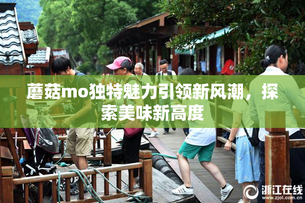 蘑菇mo独特魅力引领新风潮，探索美味新高度